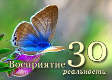 Интуиция